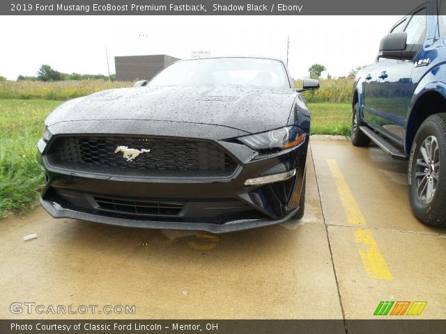 2019 Ford Mustang EcoBoost Premium Fastback in Shadow Black