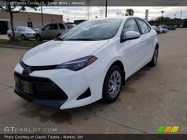 2019 Toyota Corolla LE in Super White