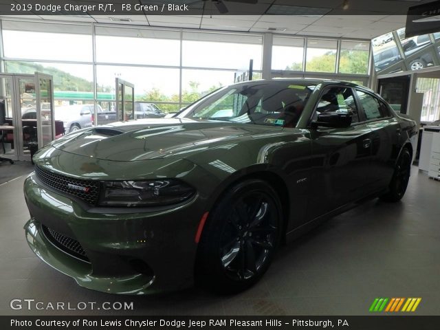 2019 Dodge Charger R/T in F8 Green