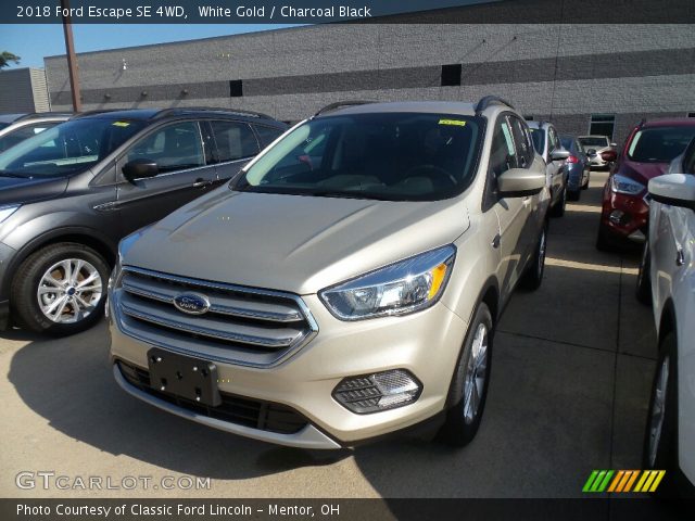 2018 Ford Escape SE 4WD in White Gold