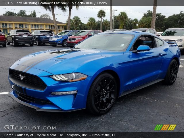 2019 Ford Mustang EcoBoost Fastback in Velocity Blue