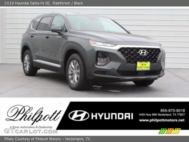 2019 Hyundai Santa Fe SE in Rainforest