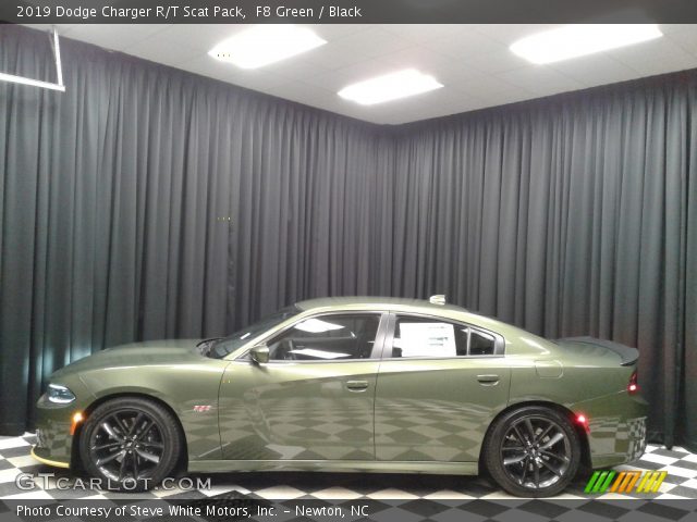 2019 Dodge Charger R/T Scat Pack in F8 Green