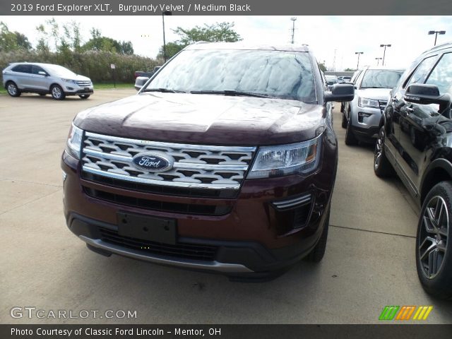 2019 Ford Explorer XLT in Burgundy Velvet