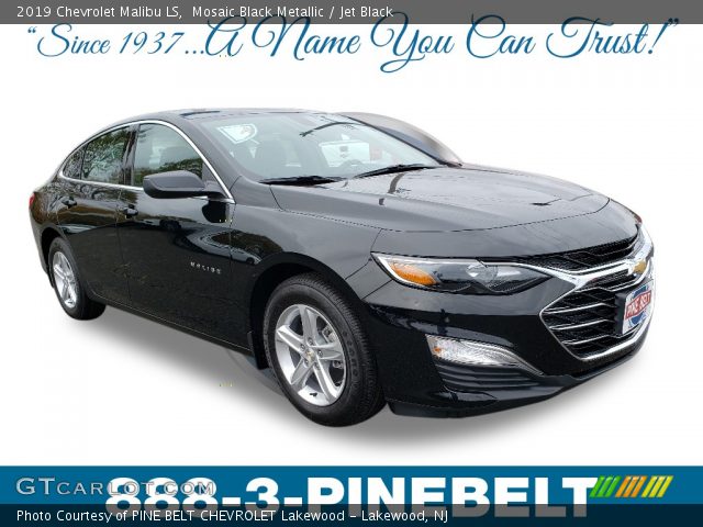 2019 Chevrolet Malibu LS in Mosaic Black Metallic