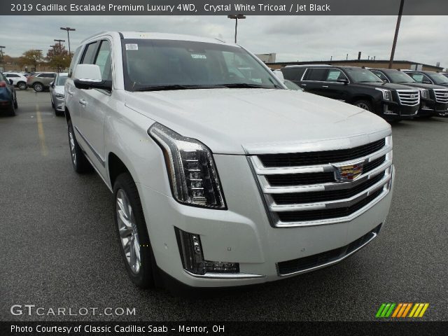 2019 Cadillac Escalade Premium Luxury 4WD in Crystal White Tricoat