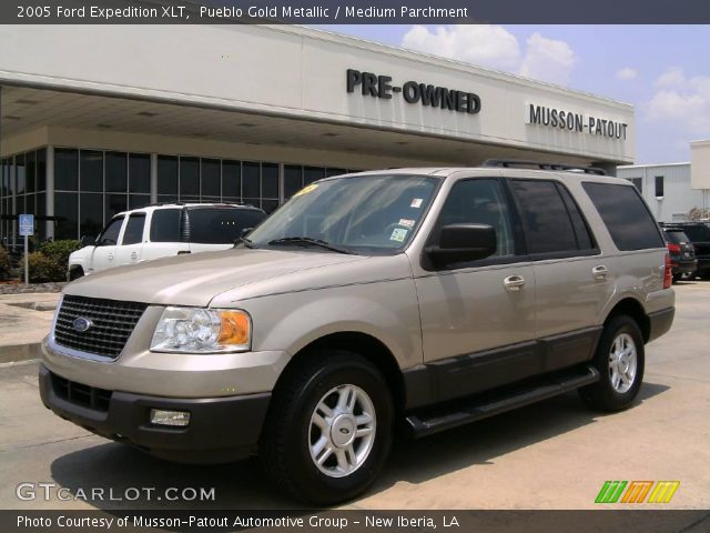 2005 Ford Expedition XLT in Pueblo Gold Metallic