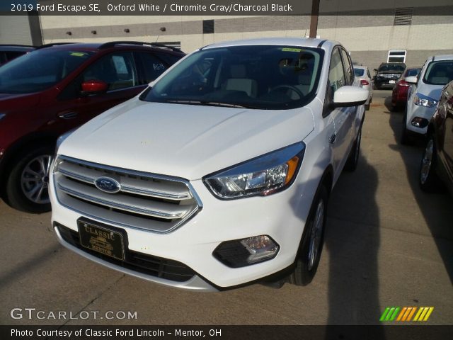 2019 Ford Escape SE in Oxford White