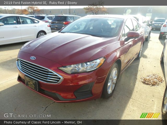 2019 Ford Fusion Hybrid SE in Ruby Red