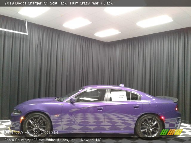 2019 Dodge Charger R/T Scat Pack in Plum Crazy Pearl