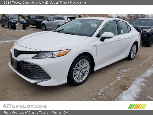 2019 Toyota Camry Hybrid XLE in Super White