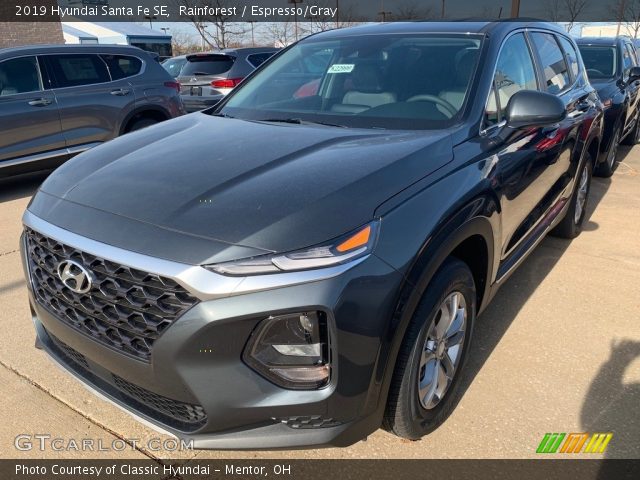 2019 Hyundai Santa Fe SE in Rainforest