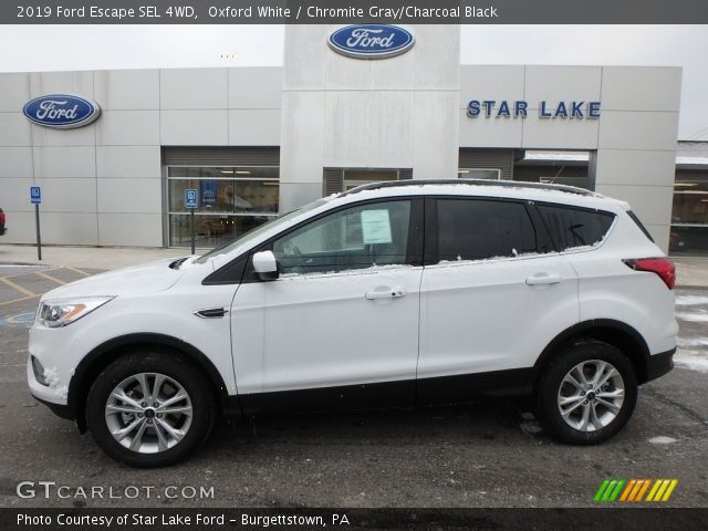 2019 Ford Escape SEL 4WD in Oxford White