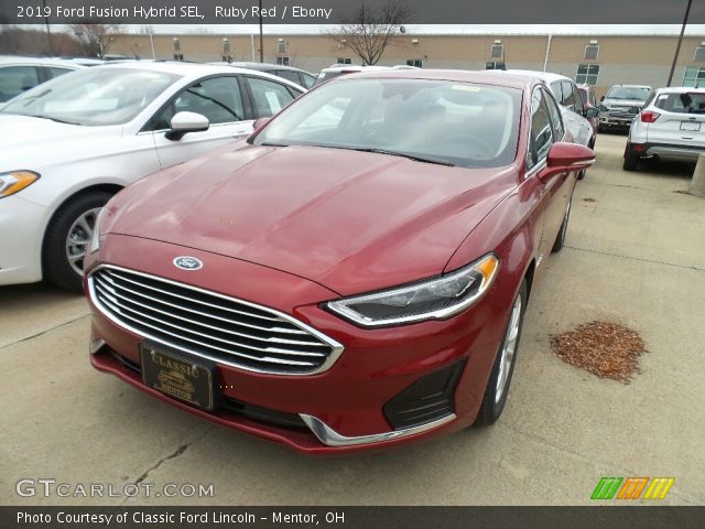 2019 Ford Fusion Hybrid SEL in Ruby Red