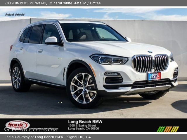 2019 BMW X5 xDrive40i in Mineral White Metallic