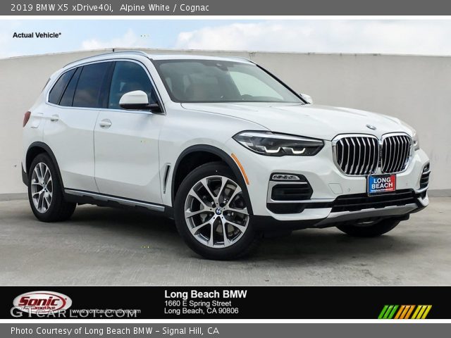 2019 BMW X5 xDrive40i in Alpine White