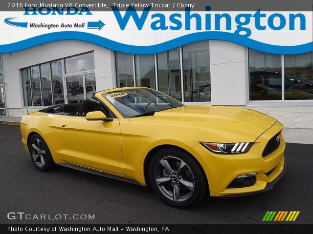 2016 Ford Mustang V6 Convertible in Triple Yellow Tricoat