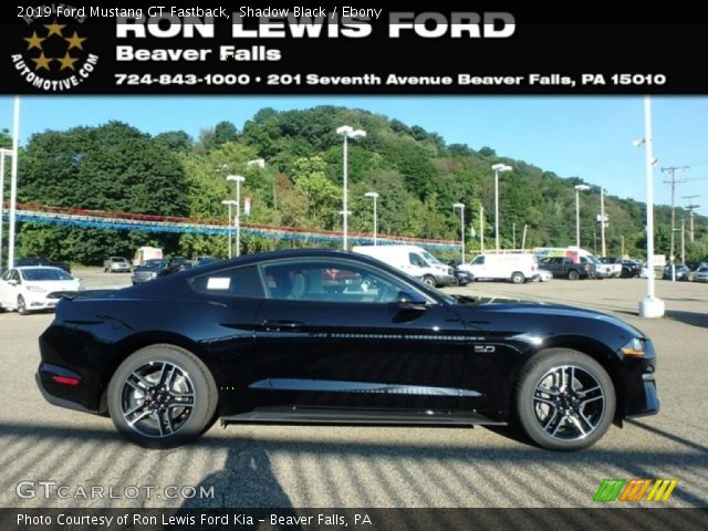 2019 Ford Mustang GT Fastback in Shadow Black