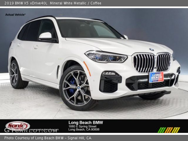 2019 BMW X5 xDrive40i in Mineral White Metallic