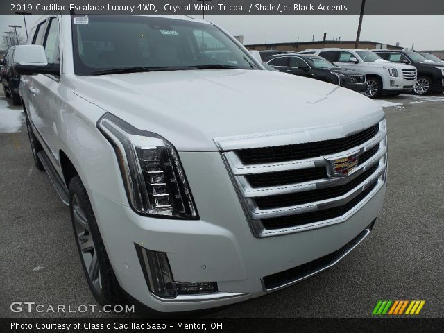 2019 Cadillac Escalade Luxury 4WD in Crystal White Tricoat