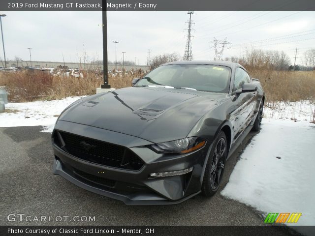 2019 Ford Mustang GT Fastback in Magnetic