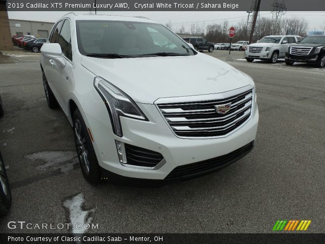 2019 Cadillac XT5 Premium Luxury AWD in Crystal White Tricoat