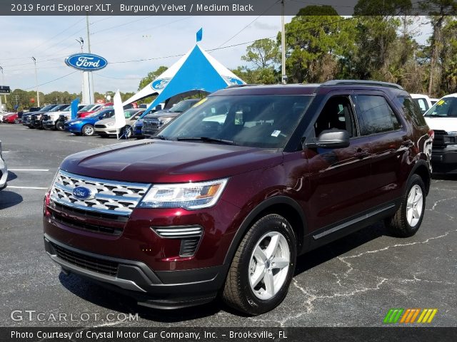2019 Ford Explorer XLT in Burgundy Velvet