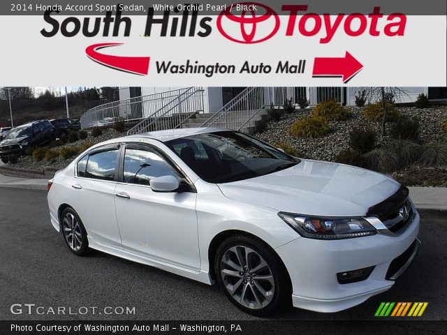 2014 Honda Accord Sport Sedan in White Orchid Pearl