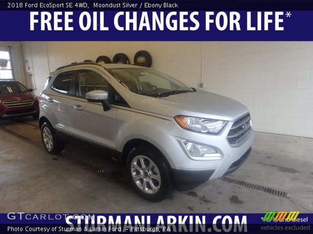 2018 Ford EcoSport SE 4WD in Moondust Silver