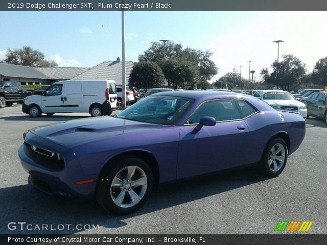 2019 Dodge Challenger SXT in Plum Crazy Pearl
