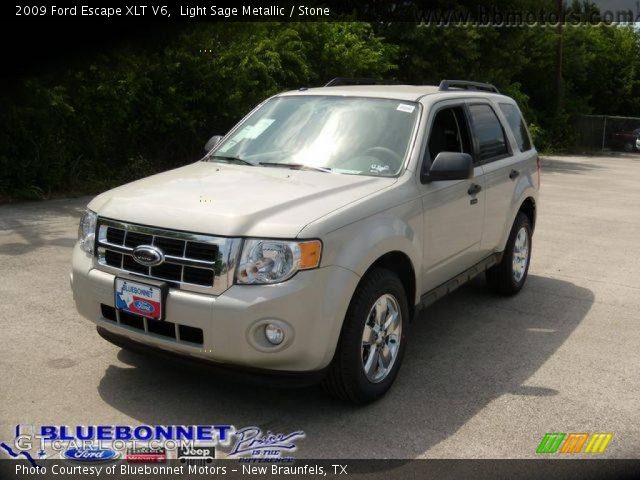 2009 Ford Escape XLT V6 in Light Sage Metallic