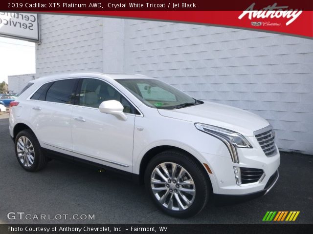 2019 Cadillac XT5 Platinum AWD in Crystal White Tricoat