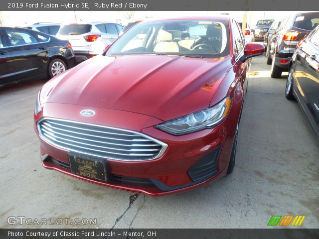 2019 Ford Fusion Hybrid SE in Ruby Red