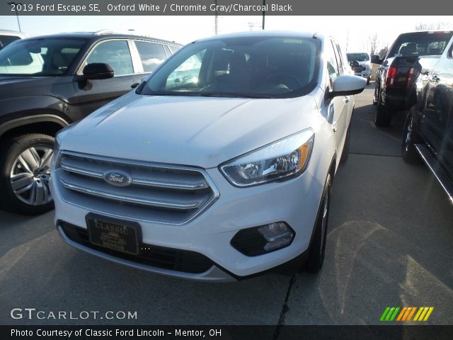 2019 Ford Escape SE in Oxford White