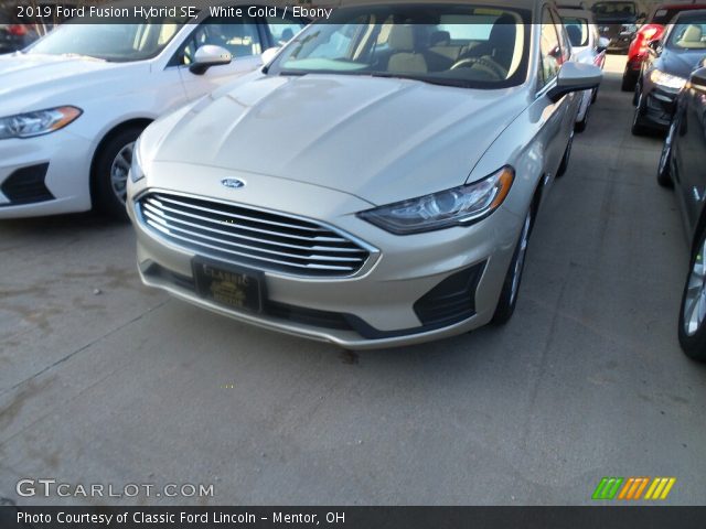 2019 Ford Fusion Hybrid SE in White Gold