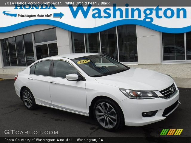 2014 Honda Accord Sport Sedan in White Orchid Pearl