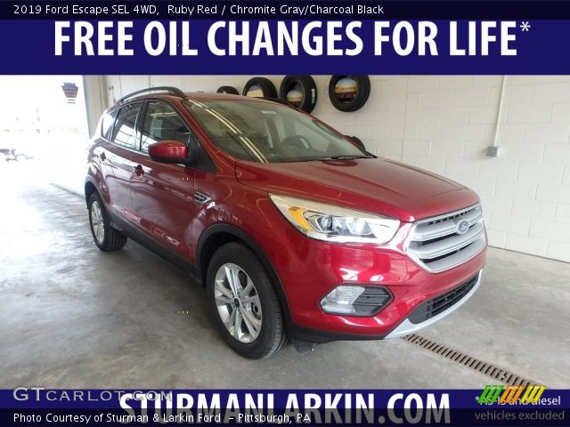 2019 Ford Escape SEL 4WD in Ruby Red