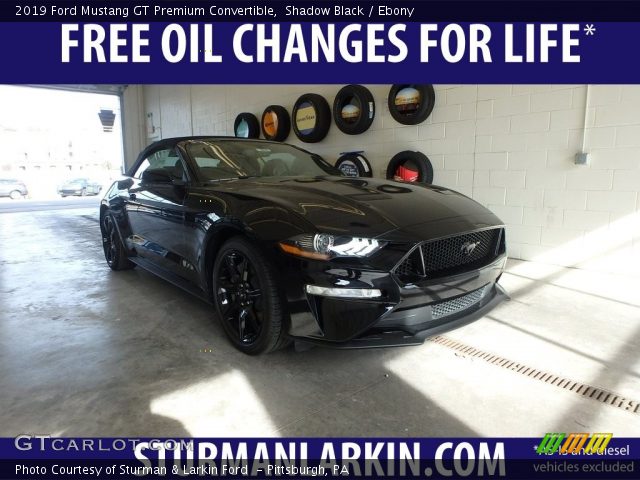 2019 Ford Mustang GT Premium Convertible in Shadow Black