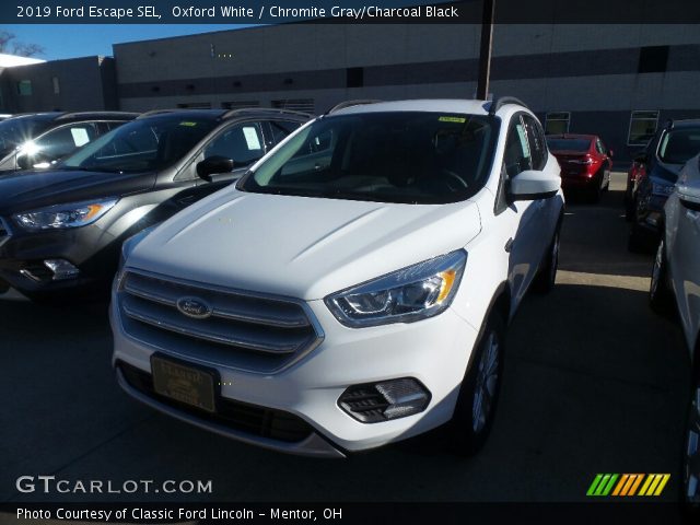 2019 Ford Escape SEL in Oxford White
