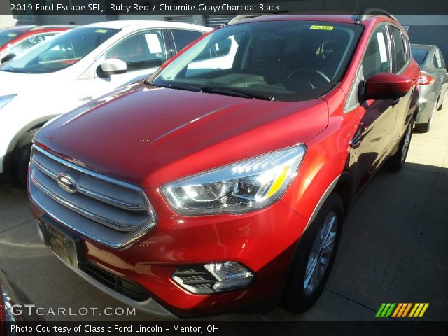 2019 Ford Escape SEL in Ruby Red