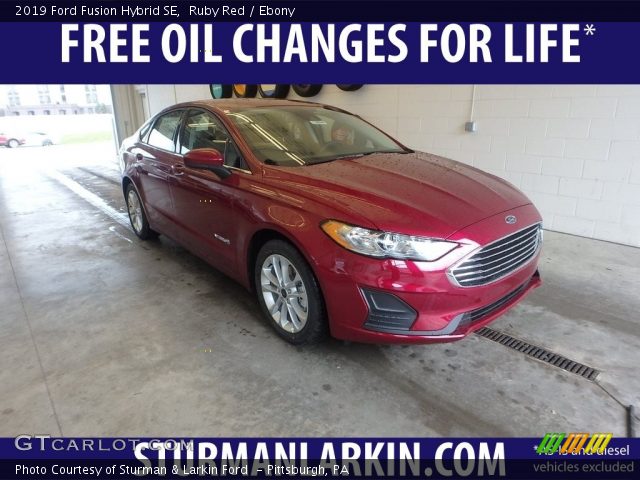 2019 Ford Fusion Hybrid SE in Ruby Red