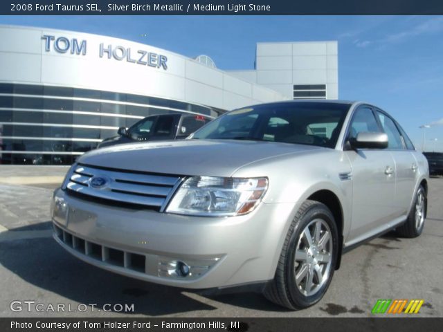 2008 Ford Taurus SEL in Silver Birch Metallic