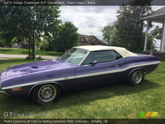 1970 Dodge Challenger R/T Convertible in Plum Crazy