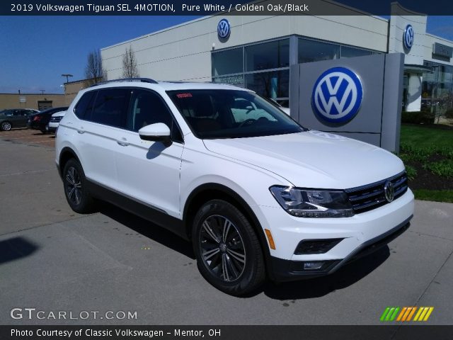 2019 Volkswagen Tiguan SEL 4MOTION in Pure White