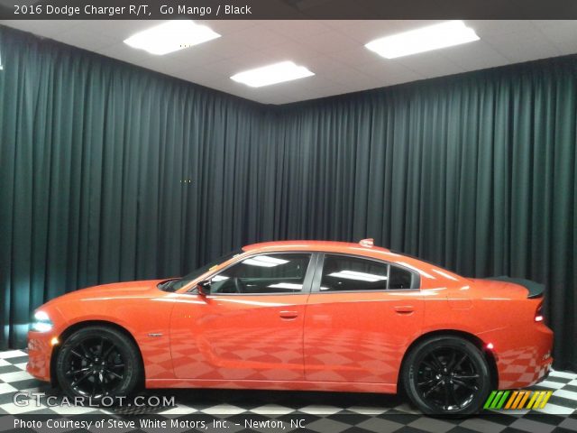 2016 Dodge Charger R/T in Go Mango