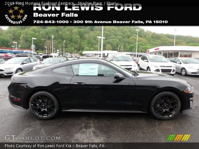 2019 Ford Mustang EcoBoost Fastback in Shadow Black