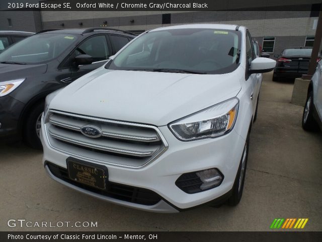 2019 Ford Escape SE in Oxford White