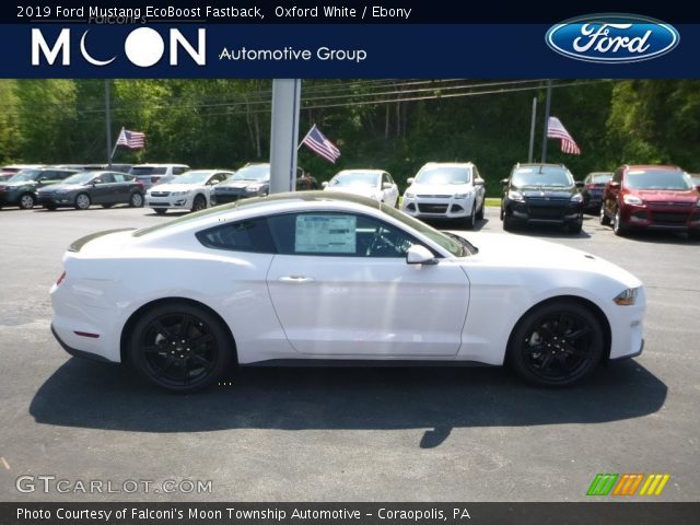 2019 Ford Mustang EcoBoost Fastback in Oxford White