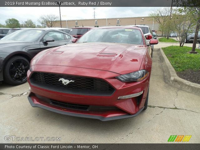 2019 Ford Mustang EcoBoost Fastback in Ruby Red