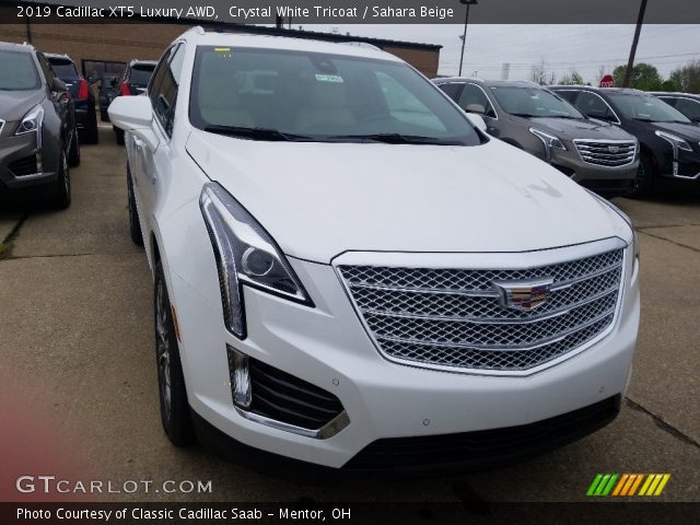 2019 Cadillac XT5 Luxury AWD in Crystal White Tricoat